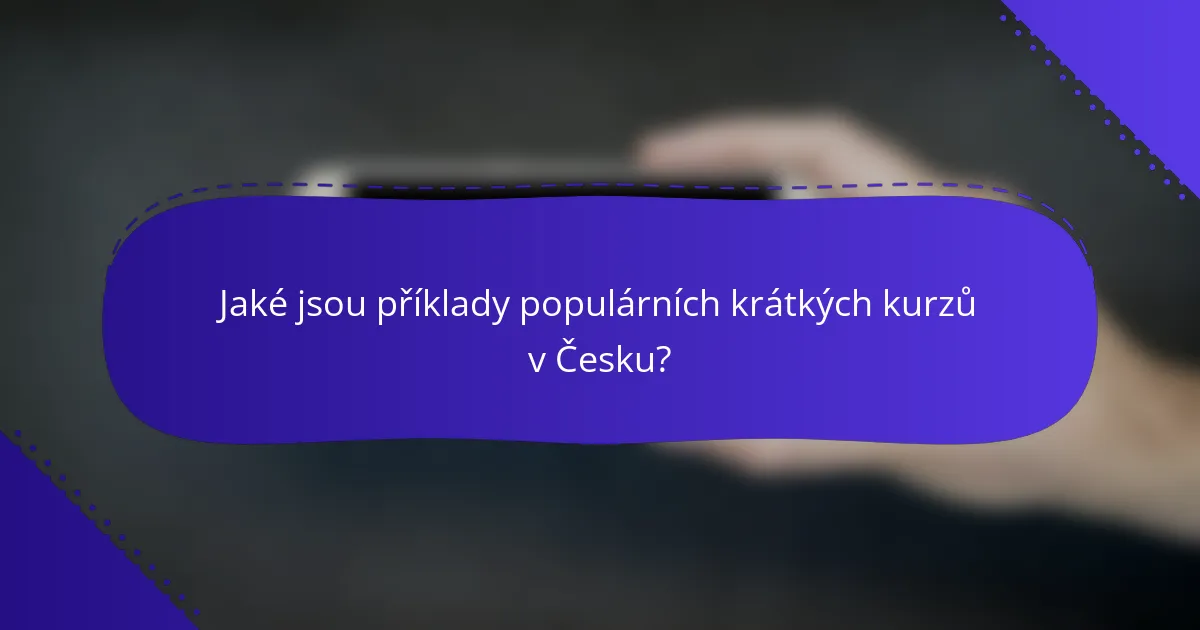 Jaké jsou příklady populárních krátkých kurzů v Česku?