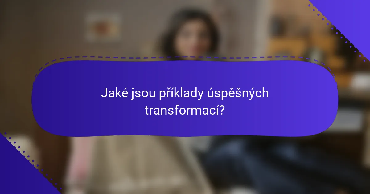 Jaké jsou příklady úspěšných transformací?